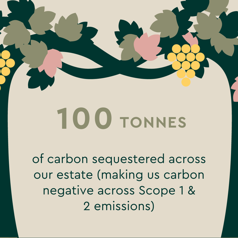 100 tonnes of CO2 sequestered