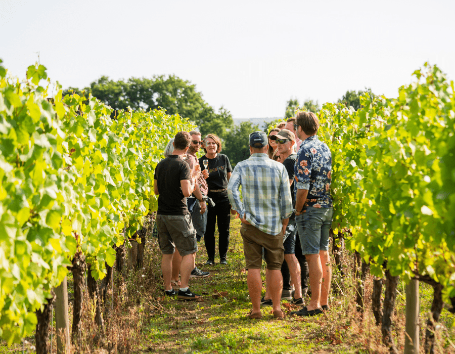 Ridgeview Wine Estate, Vineyard Tours and Wine Tasting in Sussex