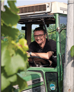 Harvest at Ridgeview Wine Estate English sparkling wine Sussex England