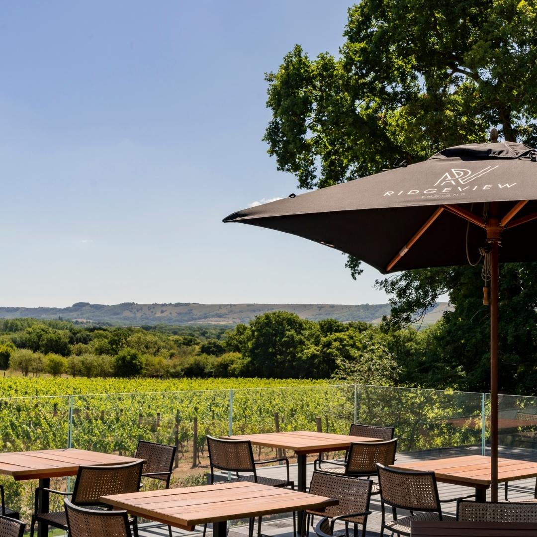 The Rows & Vine restaurant at Ridgeview Wine Estate England Sussex