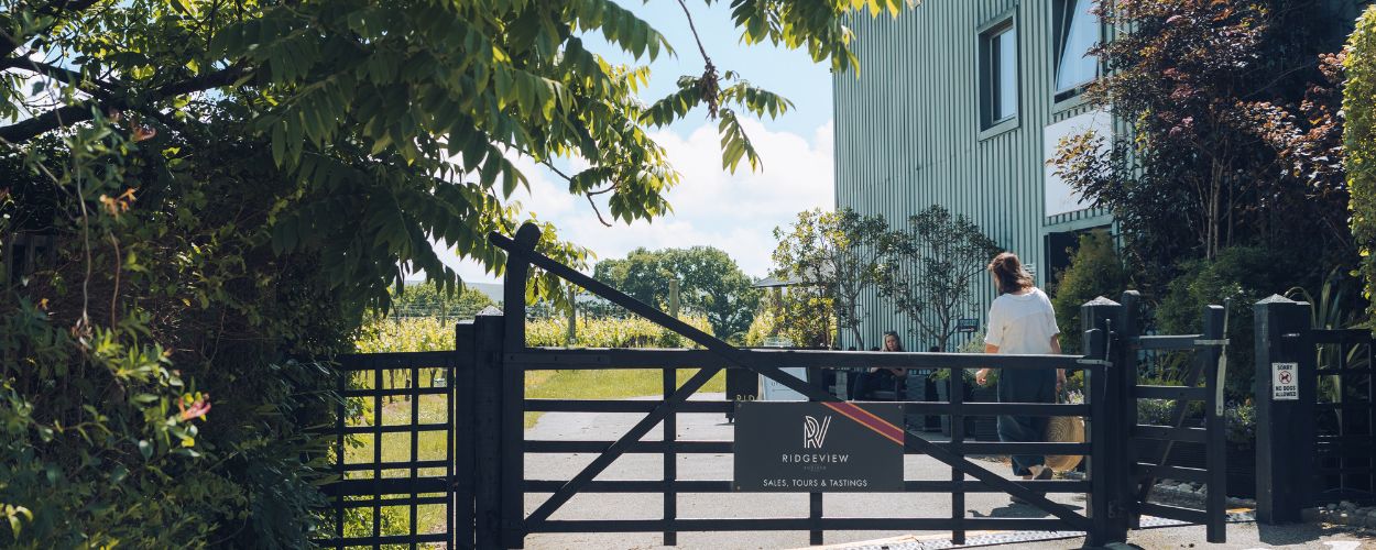 Winery Shop Ridgeview Wine Estate England