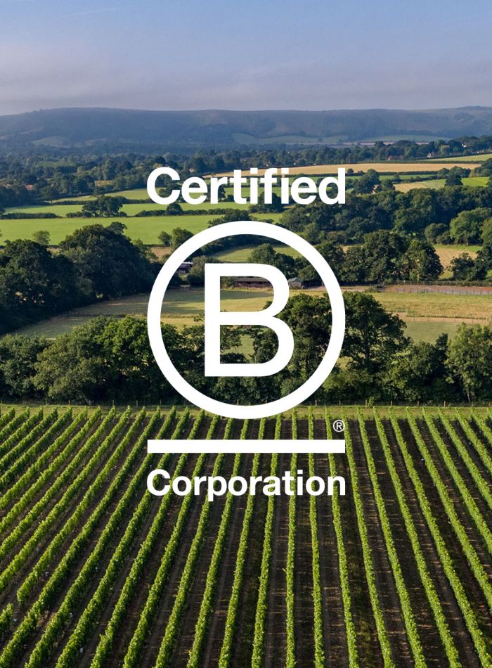 Ridgeview Wine Estate England B Corp company