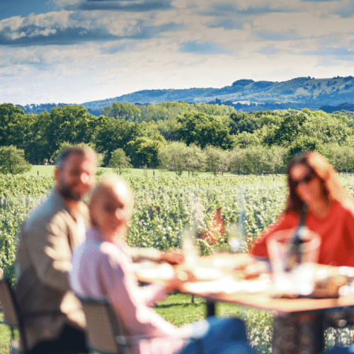 Ridgeview Wine Estate Tour and Tasting English Sparkling Wine