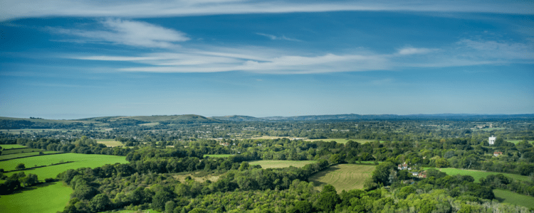 Ridgeview English sparkling wine Estate Landscape scene