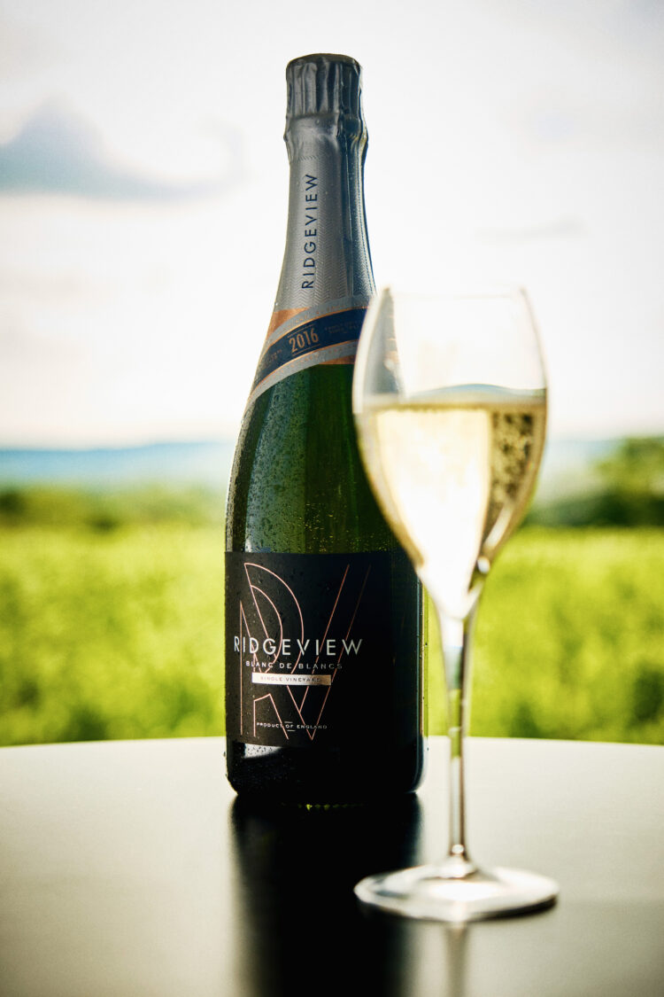 Ridgeview Tour and Tasting Blanc de Blanc English Sparkling Wine