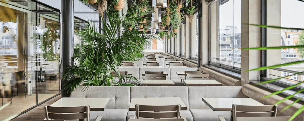 The Royal Opera House, Covent Garden, Piazza Terrace Restaurant serving Ridgeview Blanc de Blancs