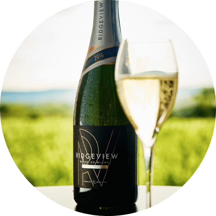 Ridgeview Wine Estate, English Sparkling Wine