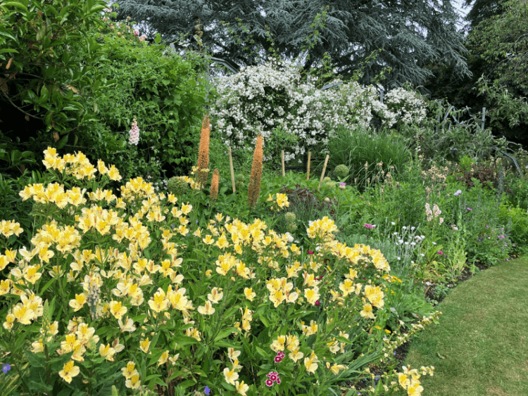 Gardens at Feeringbury Manor