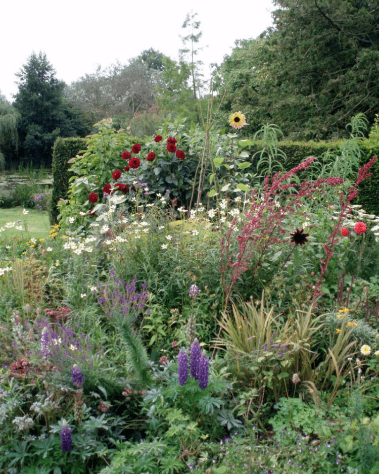 Gardens at Feeringbury Manor