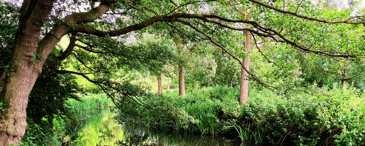 The River Blackwater in the grounds of Feeringbury Manor