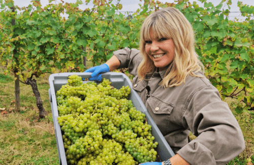 TV and Radio Presenter Kate Thornton visits Ridgeview vineyard holding grapes