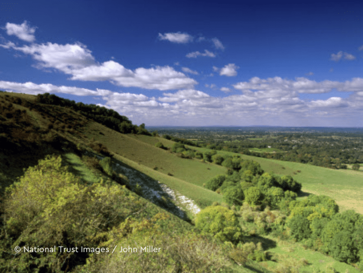 View along South Downs towards Ditching Beacon, Sussex