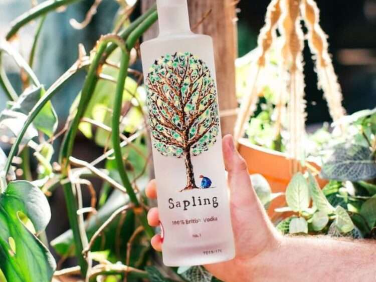 Sapling Spirits - Sustainable B Corp brands